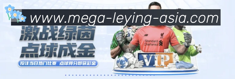 登录器